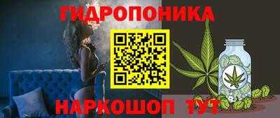 ПСИЛОЦИБИНОВЫЕ ГРИБЫ Берёзовский