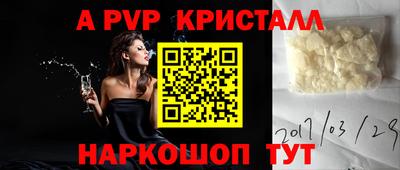 спиды Бийск