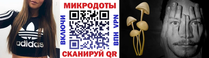 Псилоцибиновые грибы прущие грибы  даркнет сайт  Волжск 