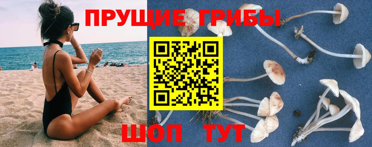 Галлюциногенные грибы ЛСД Волжск