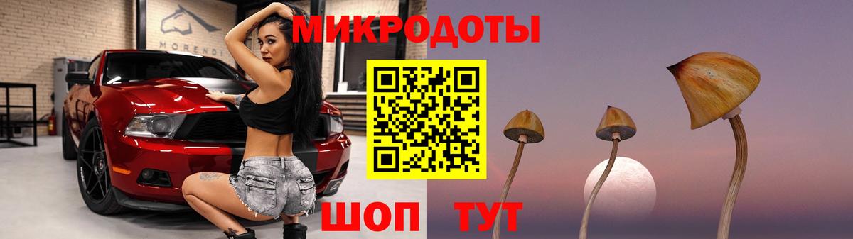 Псилоцибиновые грибы прущие грибы  Волжск 